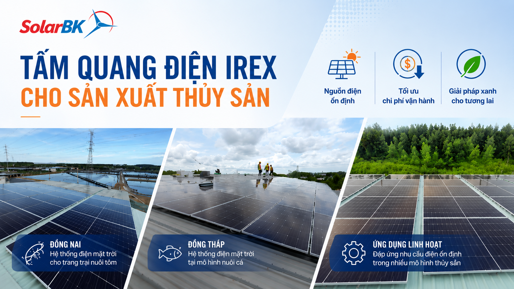 Tấm quang điện IREX đồng hành cùng các doanh nghiệp thủy sản